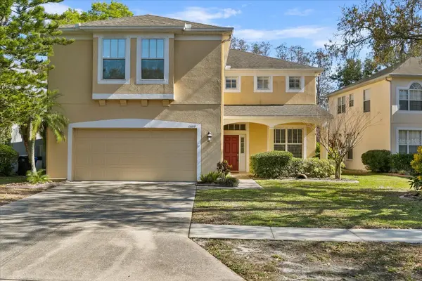 11115 AVERY OAKS DRIVE, Tampa, FL 33625