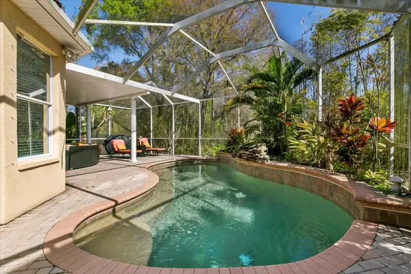 11115 AVERY OAKS DRIVE, Tampa, FL 33625