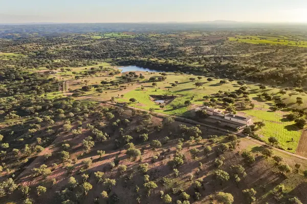 Estate in Beja #QPSAV, Portugal,