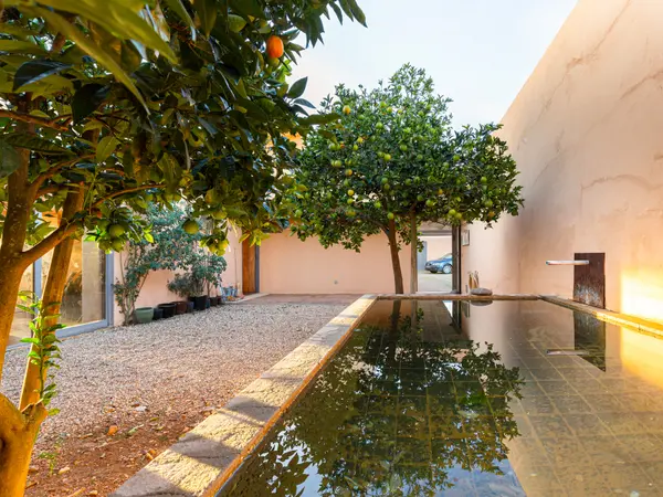Estate in Beja #QPSAV, Portugal,