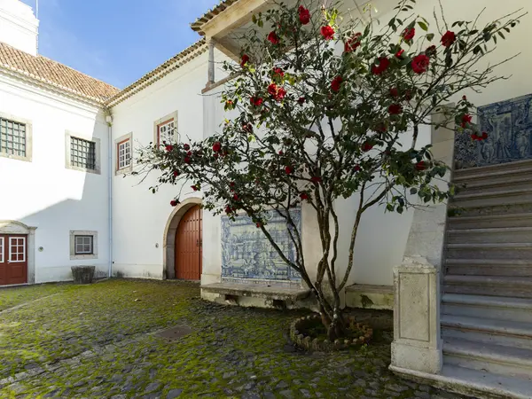 Mafra Manor House #SAV, Portugal,