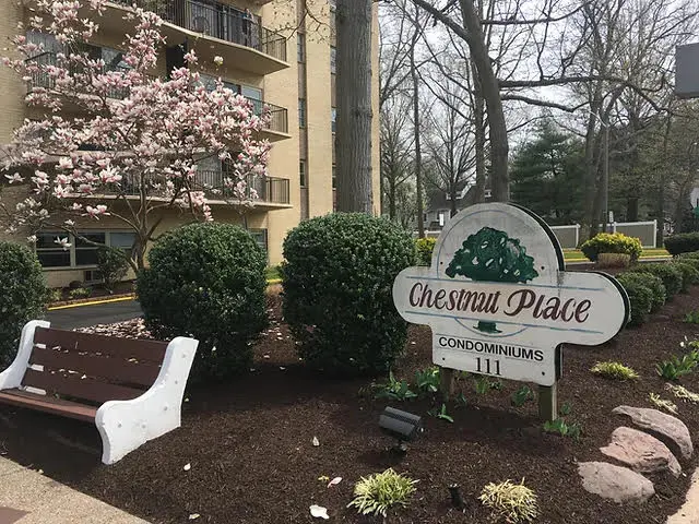 111 Chestnut St #310, Cherry Hill, NJ 08002
