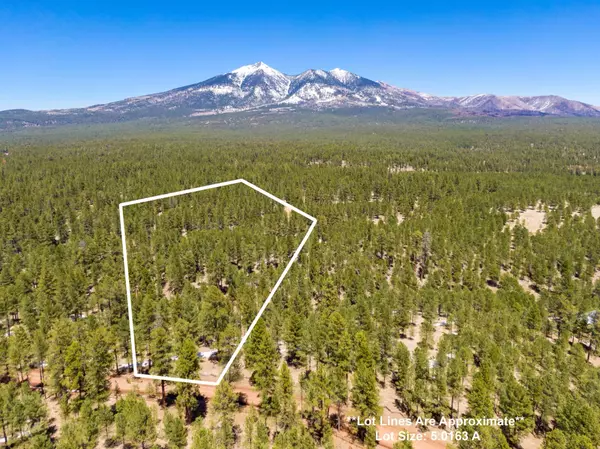 4408 Hidden Hollow Rd, Flagstaff, AZ 86001