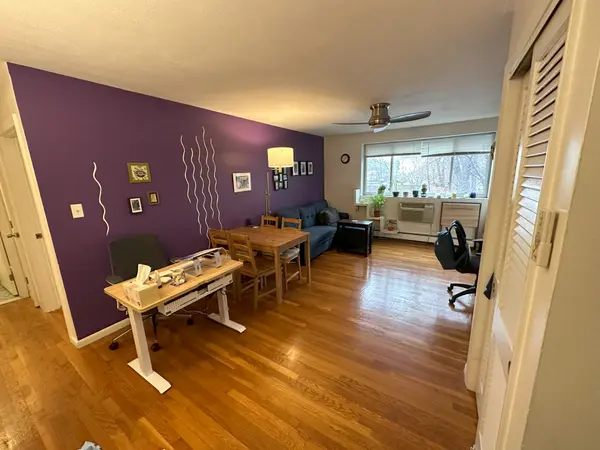 171 South St #15B, Jamaica Plain, MA 02130