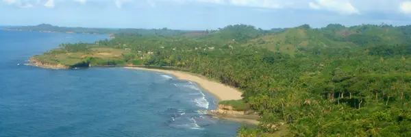 Colon