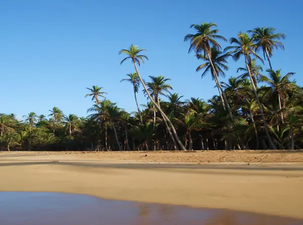 San Blas