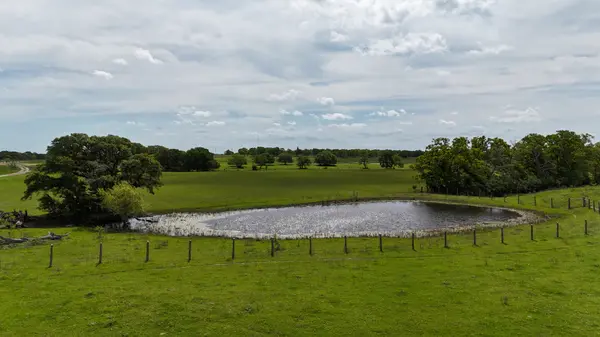 Tract 3 - CR 413 Caldwell, Tx 77836,
