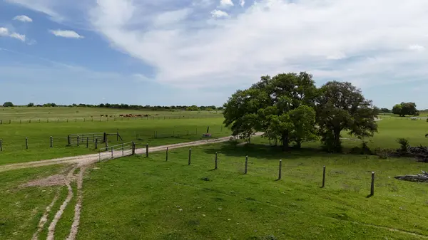 Tract 3 - CR 413 Caldwell, Tx 77836,