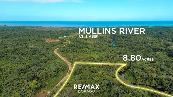 36.745 Acre Mullins River Stann Creek District, Belize,