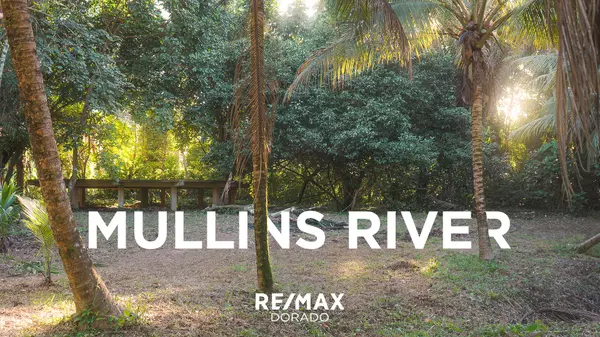 36.745 Acre Mullins River Stann Creek District, Belize, 
