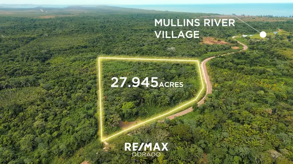 36.745 Acre Mullins River Stann Creek District, Belize,