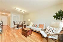 171 South St #19B, Jamaica Plain, MA 02130