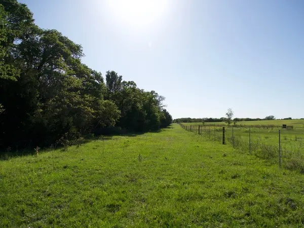 Tract 8 - St. Delight Rd, Paige, TX 78659