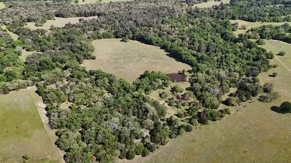 Tract 8 - St. Delight Rd, Paige, TX 78659