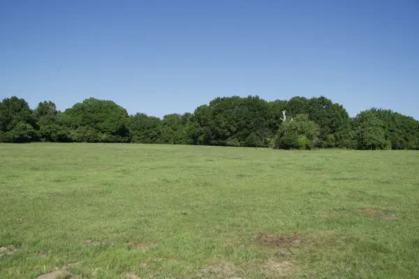 Tract 10 - St. Delight Rd, Paige, TX 78659
