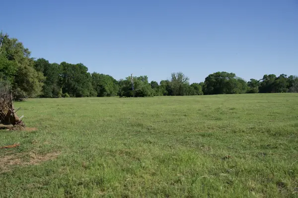 Tract 10 - St. Delight Rd, Paige, TX 78659