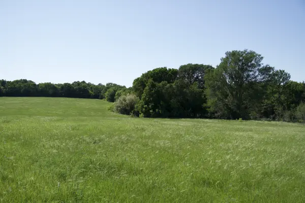 Tract 2 - St. Delight Rd, Paige, TX 78659
