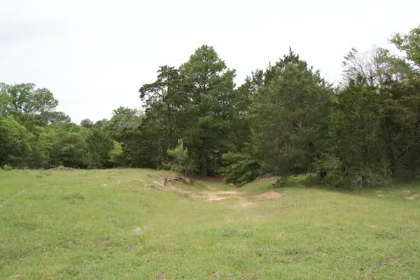 Tract 5 - St. Delight Rd, Paige, TX 78659