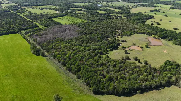Tract 5 - St. Delight Rd, Paige, TX 78659