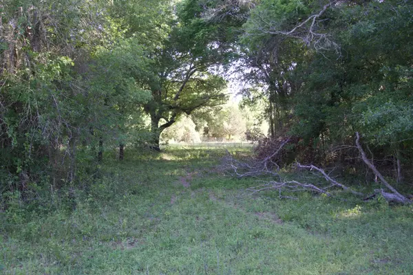 Tract 7 - St. Delight Rd, Paige, TX 78659