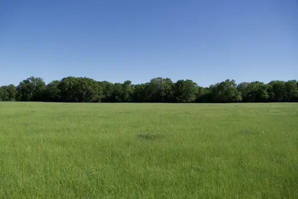 Tract 4 - St. Delight Rd, Paige, TX 78659