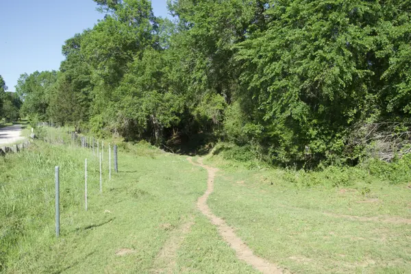 Tract 10 - St. Delight Rd, Paige, TX 78659