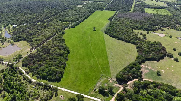 Tract 3 - St. Delight Rd, Paige, TX 78659
