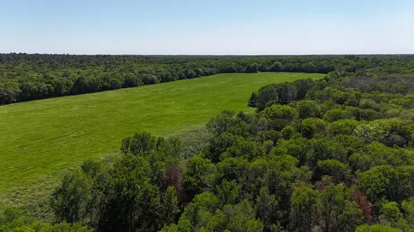 Tract 1 - St. Delight Rd, Paige, TX 78659