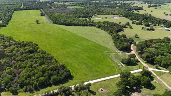 Tract 4 - St. Delight Rd, Paige, TX 78659