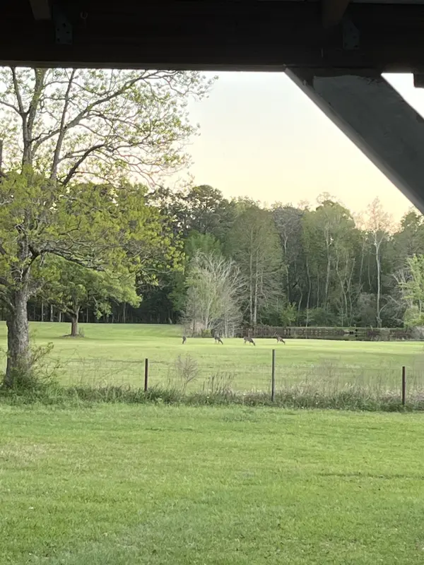 13573 Ezell Rd, Grand Bay, AL 36541