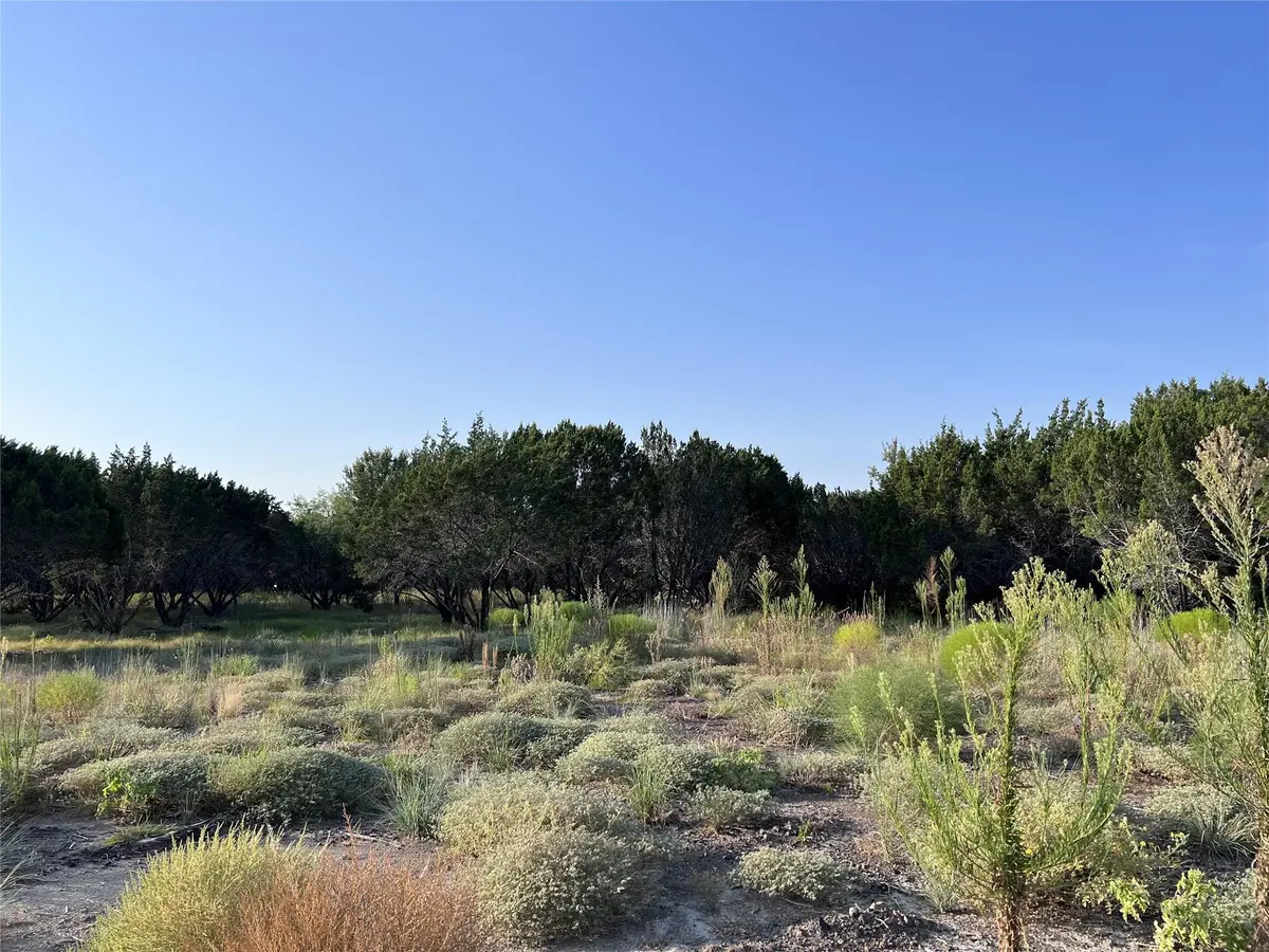 1137 County Road 407 #Lot 90, Nemo, TX 76070