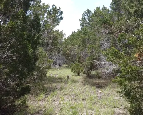 LOT 21 Rosebud Ranch Rd, Bertram, TX 78605
