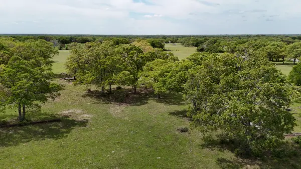 Tract 7 - TBD FM 60 Lyons, Tx 77863,