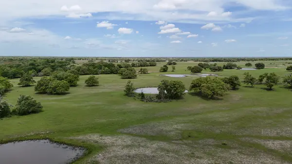 Tract 7 - TBD FM 60 Lyons, Tx 77863,
