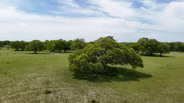 Tract 6 - TBD FM 60 Lyons, Tx 77863,