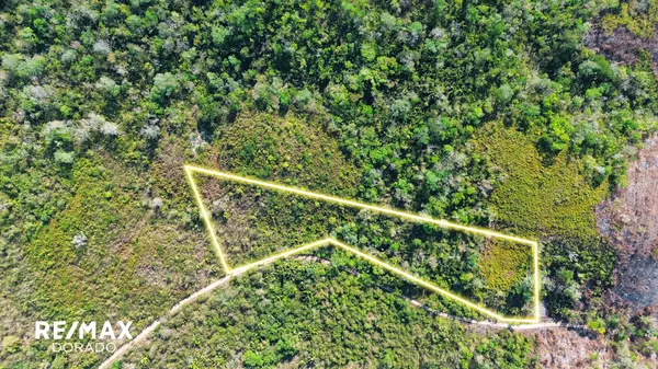 Arizona Village, District,2.79 Acres