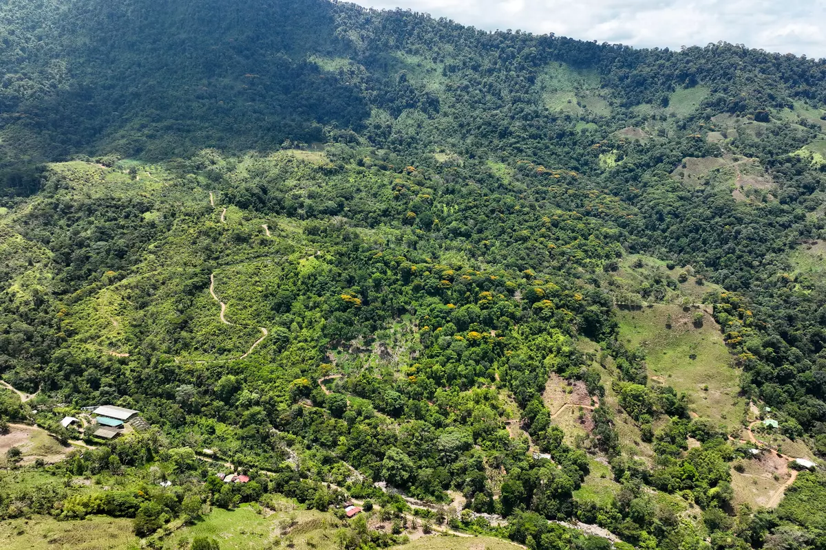 Dominical, Rica,Finca Dos Bocas