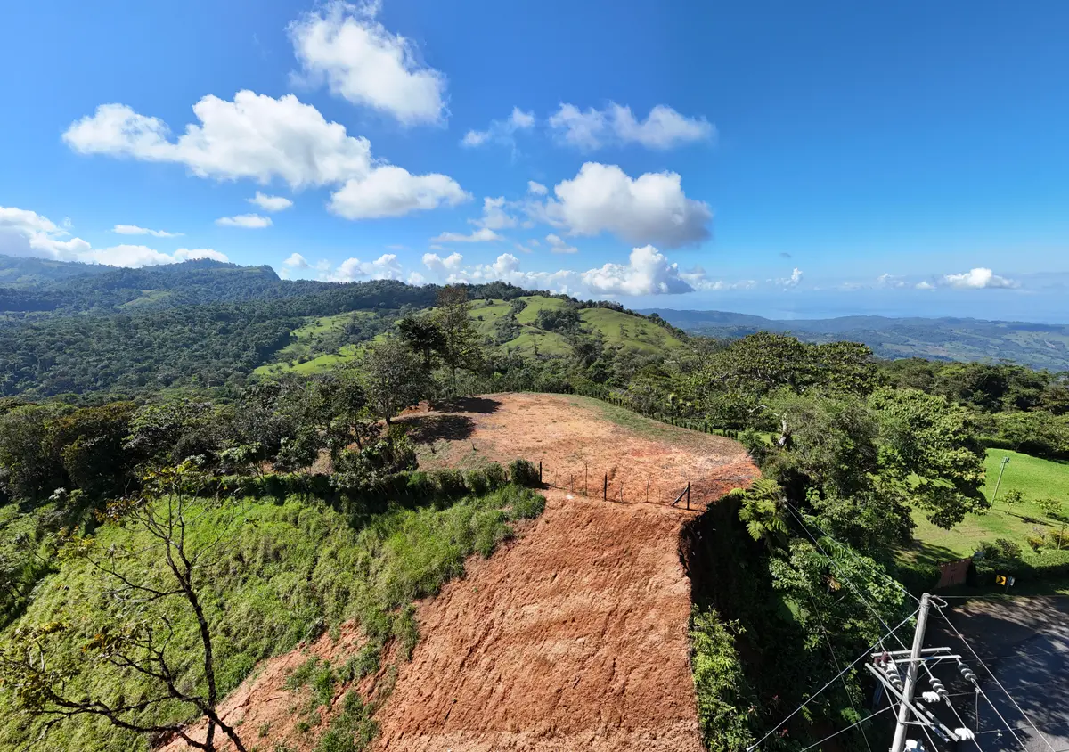 Finca Alto San Juan, Perez Zeledon, Rica