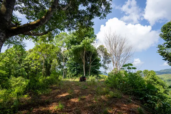 Finca Dos Bocas, Dominical, Rica
