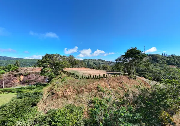 Finca Alto San Juan, Perez Zeledon, Rica