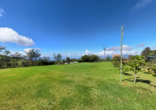 Finca Alto San Juan, Perez Zeledon, Rica