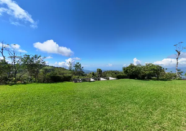 Finca Alto San Juan, Perez Zeledon, Rica