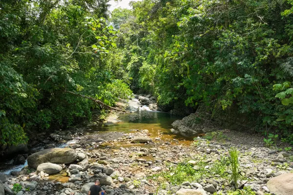 Dominical, Rica,Finca Dos Bocas