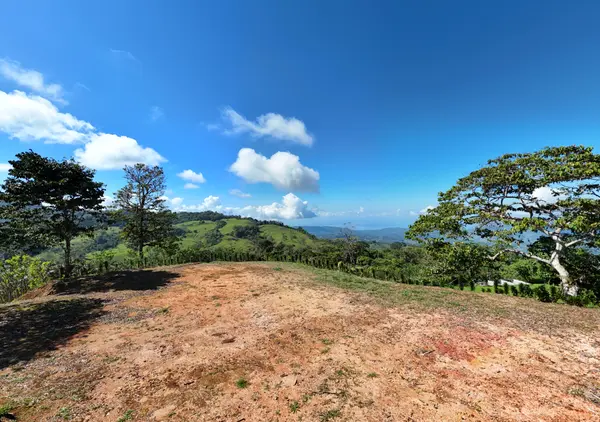 Finca Alto San Juan, Perez Zeledon, Rica