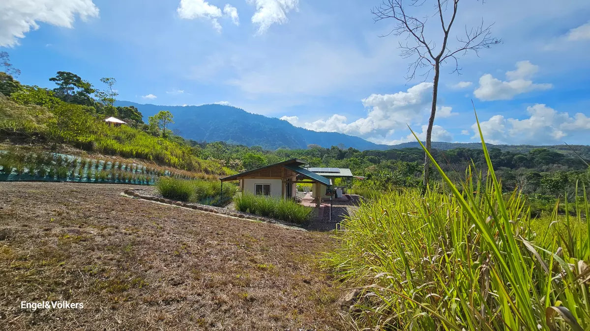 Platanillo, Rica,Finca Harmony