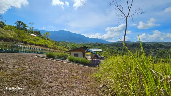 Finca Harmony, Platanillo, Rica