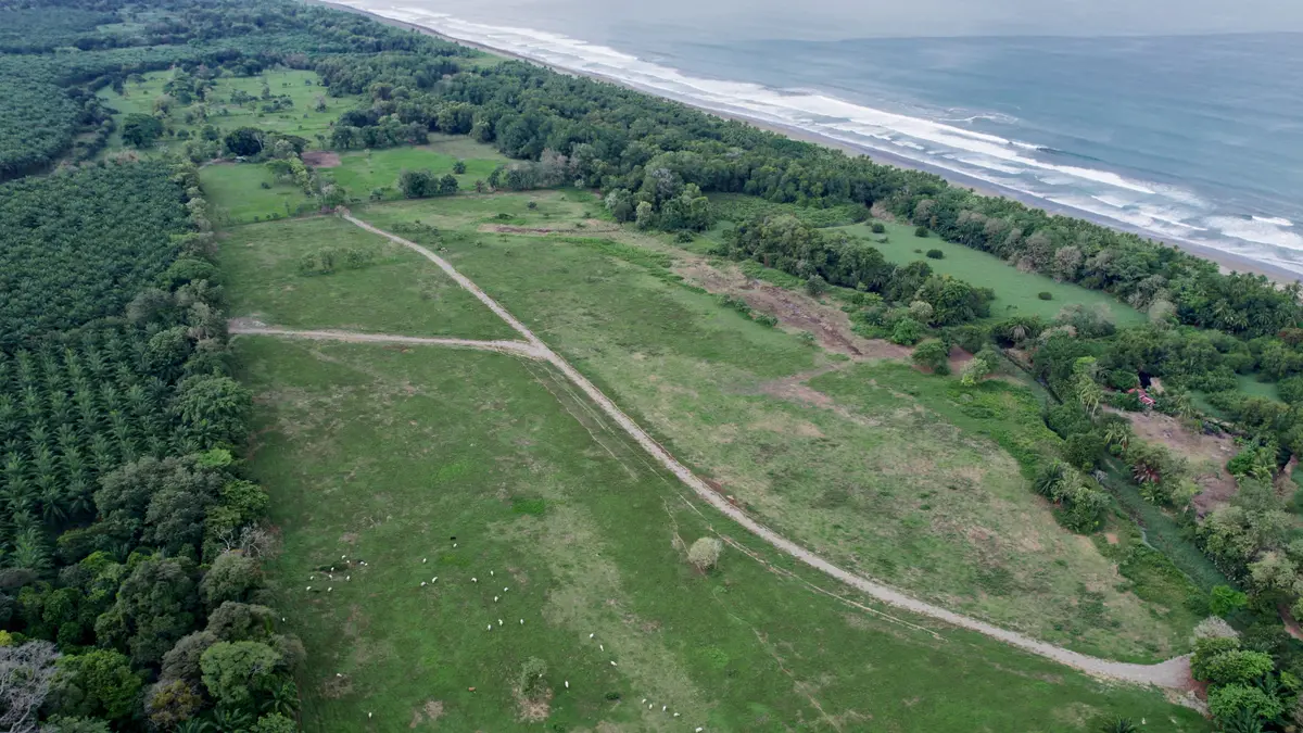 Finca Maritima, Playa El Rey, Costa Rica