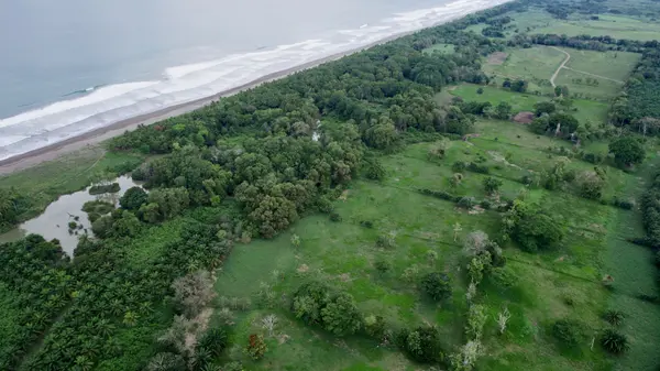 Finca Maritima, Playa El Rey, Costa Rica