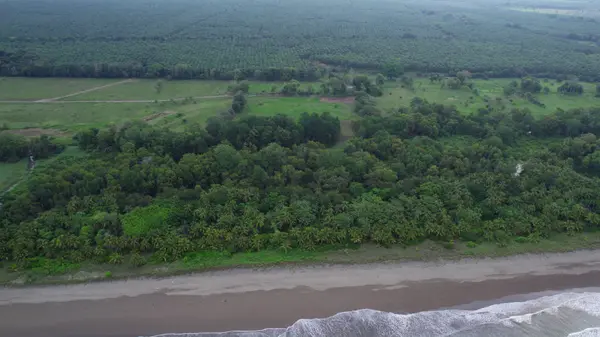 Finca Maritima, Playa El Rey, Costa Rica