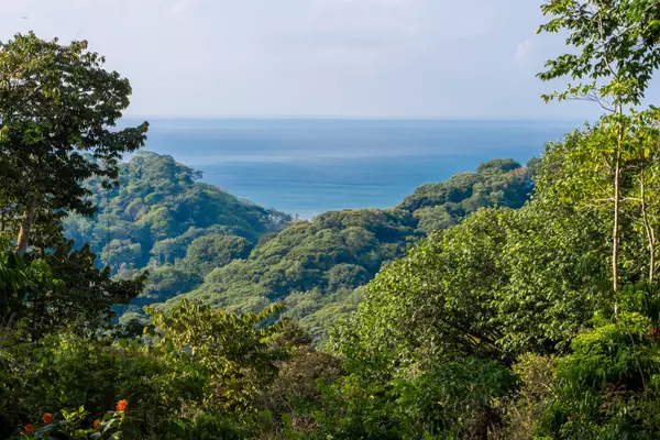 Dominical, Rica,Finca Pacifica Baru